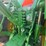 2002-john-deere-8320-image-29