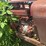1967-farmall-450-narrow-front-parts-tractor,-s/n:-13226-image-9
