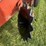 hesston-730-image-13