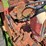ih-84-hydro-parts-tractor,-s/n:-i-6-013287-image-11