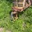 1967-farmall-450-narrow-front-parts-tractor,-s/n:-4477-image-3