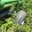 case-ih-30ft-head-cart,-needs-new-tires-image-3