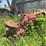 1967-farmall-450-narrow-front-parts-tractor,-s/n:-13226-image-3
