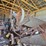 mccormick-deering-threshing-machine-image-6