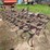 3pt-cultivator-19ft-image-4