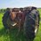 ih-84-hydro-parts-tractor,-s/n:-i-6-013287-image-5