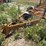 tank-trailer-with-parts-image-14