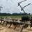 kmc-6-row-ripper-bedder-image-1