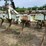 kmc-6-row-ripper-bedder-image-12