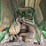 2012-john-deere-6115d-image-12