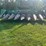 john-deere-443-image-1