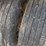 #127-•-2015-kenworth-log-truck-image-70