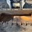 bobcat-t590-image-8