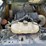 deere-325g-image-7