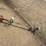 #46-•-redmax-zenoalt-weedeater-with-saw-blade-attach-image-1