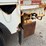 2008-international-durastar-4300-image-43