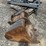 bobcat-24”-excavator-bucket-image-4