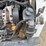 bobcat-t550-image-29