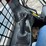 bobcat-s76-image-24