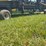 ez-trail-header-wagon-image-6