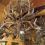 Offsite - Custom Elk Horn Chandelier
