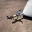 2000-excalibur-s1-enclosed-motorcycle-trailer-image-10