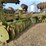 pt-18'-disc-harrow-image-6