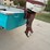 #1946-•-mirrocraft-aluminum-14'-fishing-boat-image-12