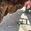 case-ih-5500-image-72