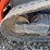 kubota-ssv65-image-15