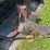 loader-with-bucket-to-fit-new-holland-tn-image-5