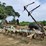 kmc-6-row-ripper-bedder-image-6