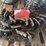 tailings-elevator-chain-(fits-50-series-john-deere’s-image-4