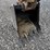 bobcat-e60-image-8