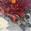 case-ih-5500-image-67