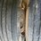 #127-•-2015-kenworth-log-truck-image-78