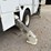2016-freightliner-m2-106-image-34