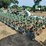 kmc-12-row-hydraulic-fold-rip-strip-rig-image-1