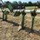 kmc-6-row-vine-cutter-image-7