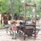 #155-•-meadows-2-blade-edger-image-5