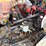 2019-international-durastar-4300-image-48