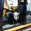 2017-caterpillar-313fl-image-8