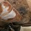 #1016-•-1955-chevy-bel-air-(2)-door-hardtop-(no-title,-for-parts)-(holmen,-wi)-image-22