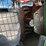2012-deere-843k-image-33