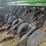 john-deere-1560-image-7