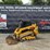 2022-caterpillar-259d3-image-1