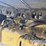 2019-caterpillar-d6k2-lgp-image-26