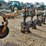 harrell-8205-image-3