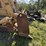 1991-caterpillar-d8n-image-40
