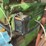 #164-•-john-deere-629-dh-03-power-unit-image-12